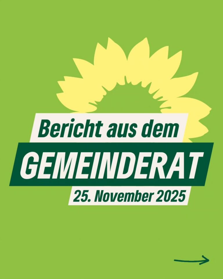 Bericht aus dem Gemeinderat (25.11.2025)